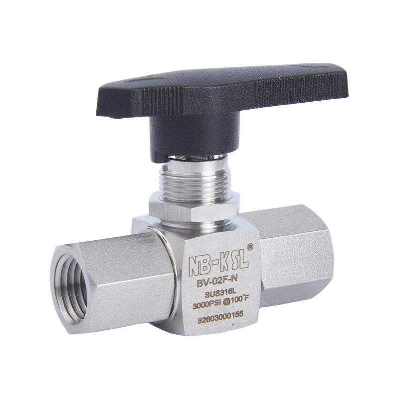 Mini-Nadelventil mit Innengewinde aus Edelstahl 316L
